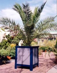 Bac d'orangerie EXOTIQUE